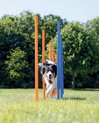 Agility Pinde Slalomstænger