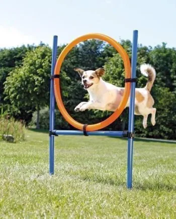 Agility Ring Til Spring Agility Hjul