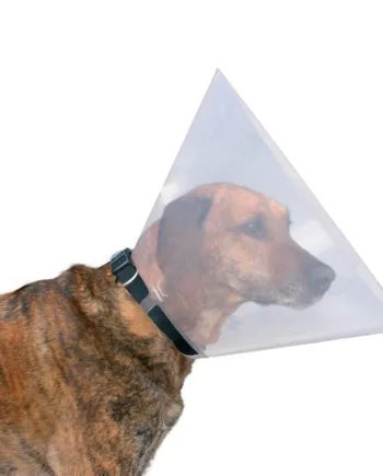 Beskyttelseskrave Til Hunde  Small