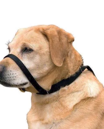 Canny Collar  Anti-træk Grime Halsbånd  Str