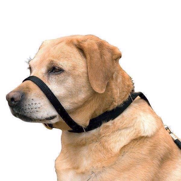 Canny Collar  Anti-træk Grime Halsbånd  Str