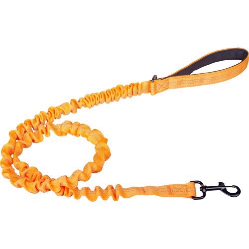 Companion Elastik Hundesnor Orange 120 Cm