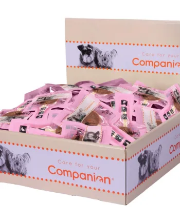 Companion Lollipop Med And  60 Stk Super Tilbud