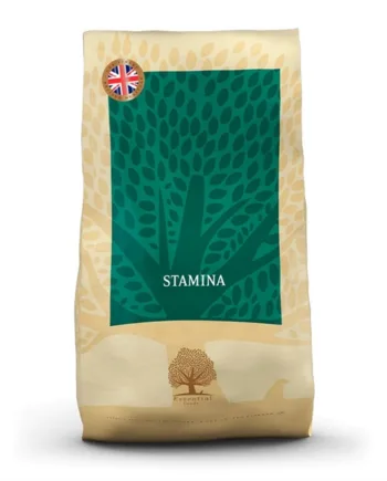 Essential Finest Heritage Stamina Til Aktive Hunde  10 Kg