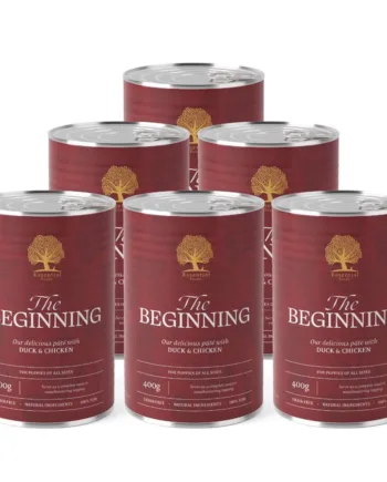 Essential The Beginning Paté  400g    Stk