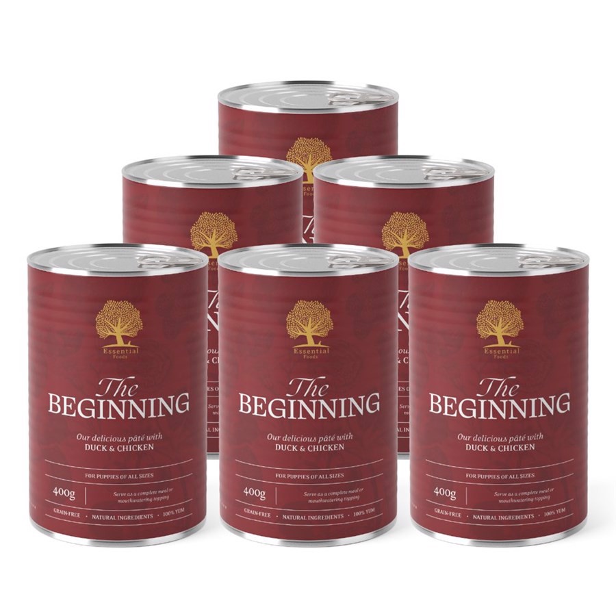 Essential The Beginning Paté 400g Stk