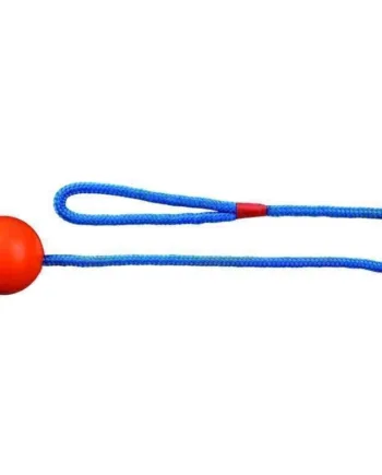 Gummibold Med Snor Til Hvalpe    Cm