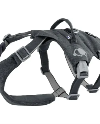 Hurtta Safeguard Eco Sele  Blackberry  45-60 Cm