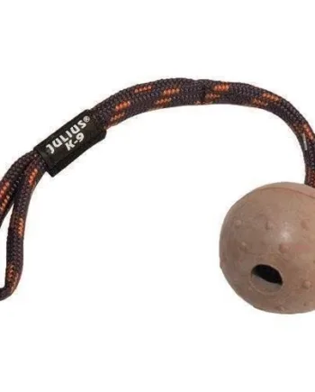 Julius K9 Idc Bold   Snor  Large