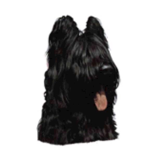 Klistermærke  Briard