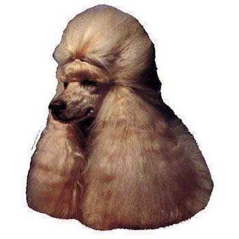 Klistermærke  Puddel