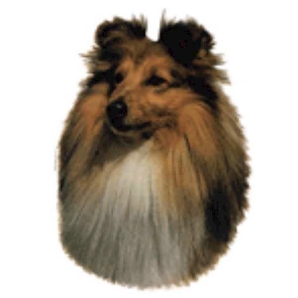 Klistermærke  Shetland Sheepdog