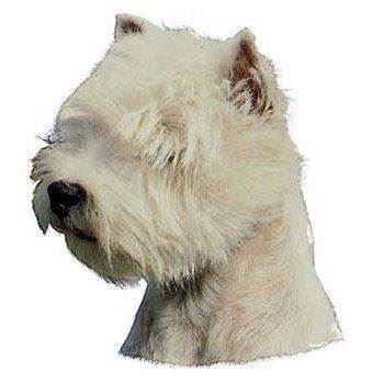 Klistermærke  West Highland White Terrier
