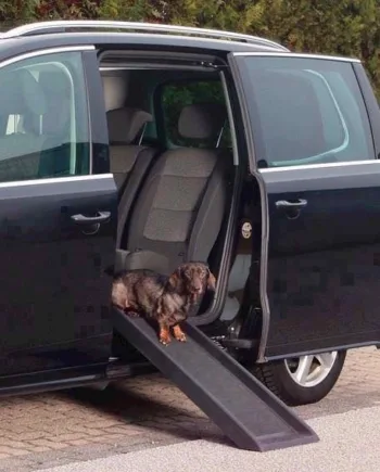 Rampe Til Små Hunde