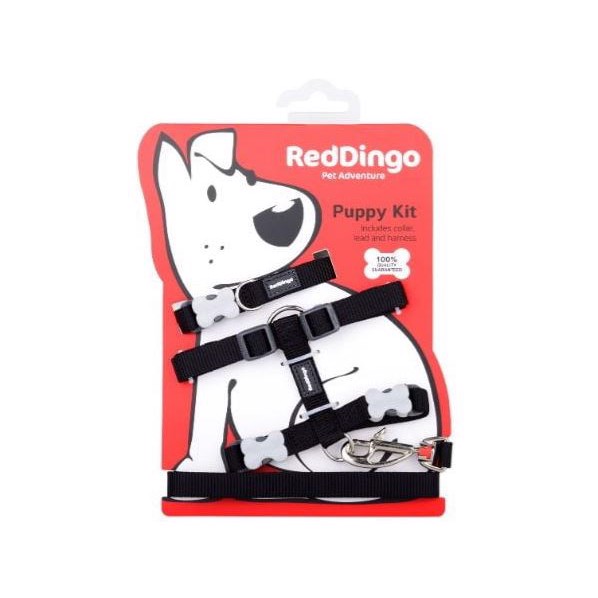 Red Dingo Hvalpesæt  Sort