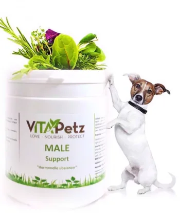 Vitapetz Male Support  125g