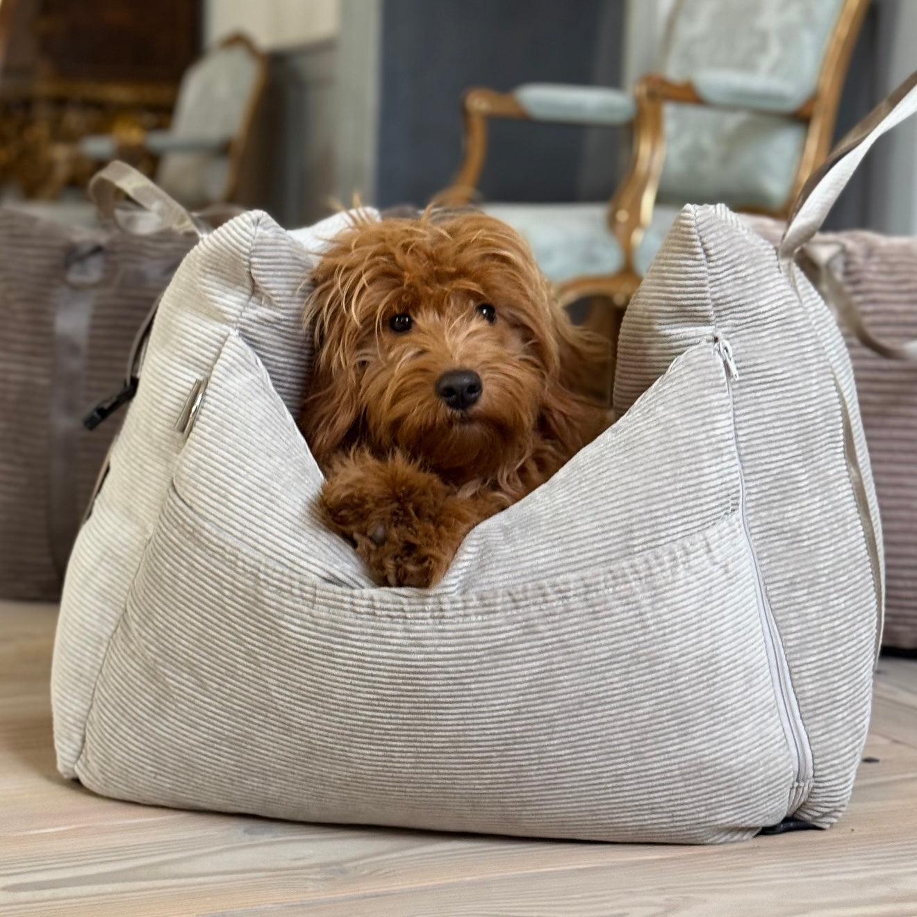 Bjørk Bilsæde Til Hunde Beige