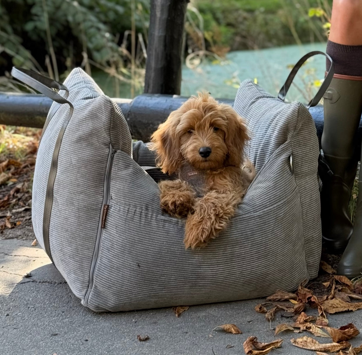 Bjørk Bilsæde Til Hunde Grå