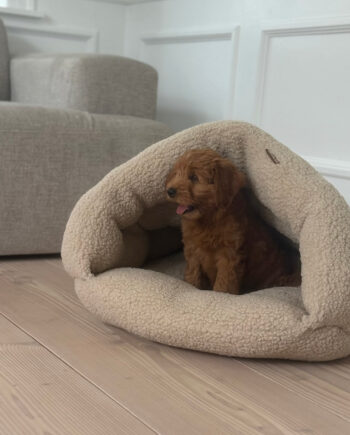 Elfe Hule Hundekurven