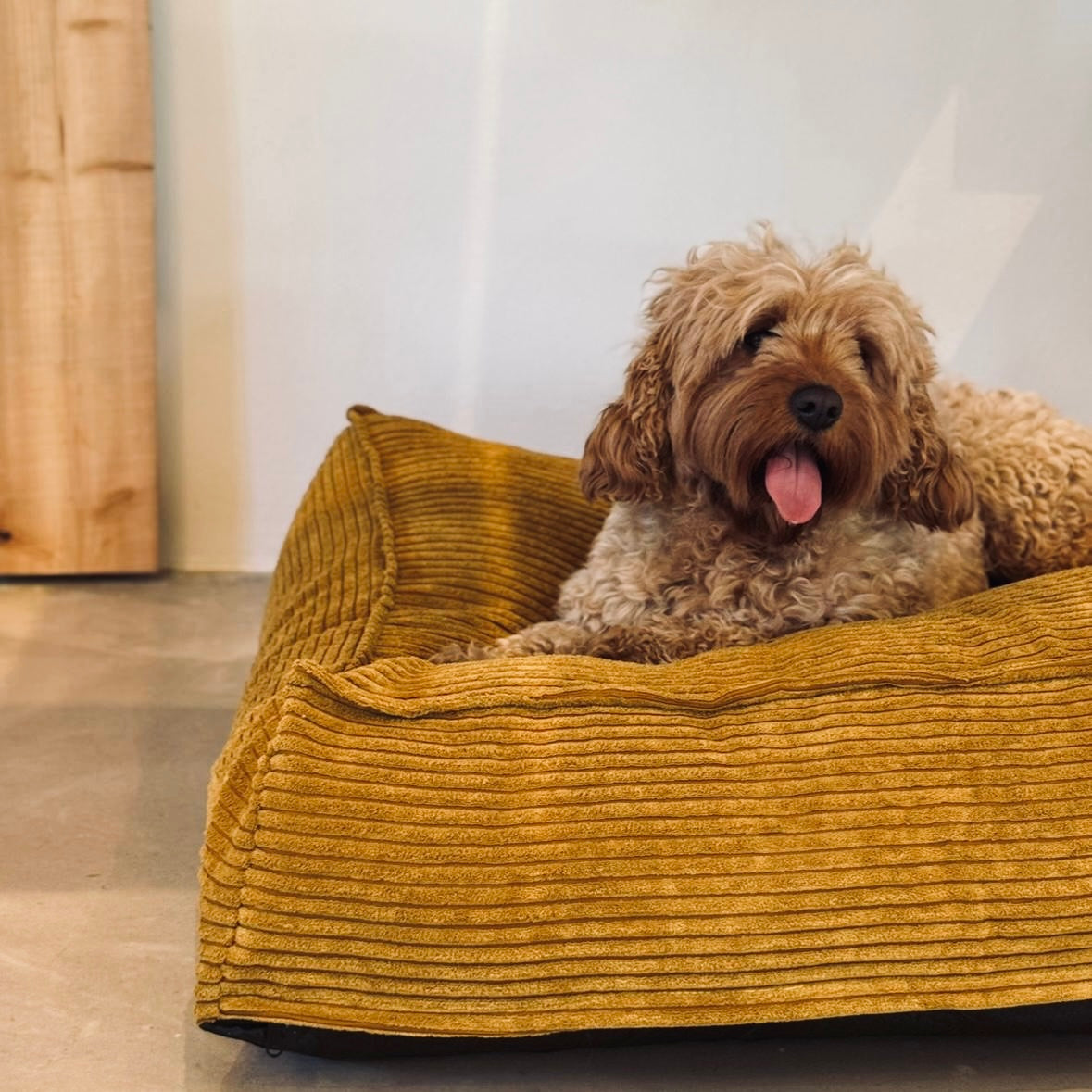 Frede Hundekurven   Karry