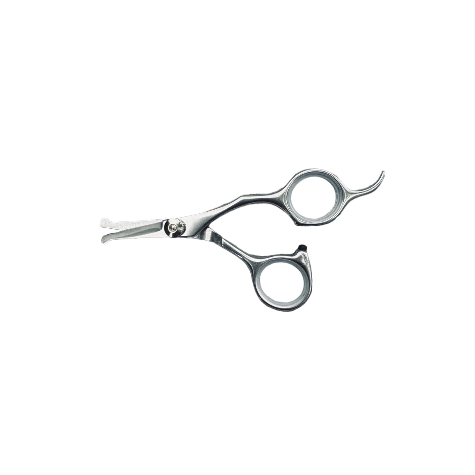 Hunde Ansigt Og Pote Saks