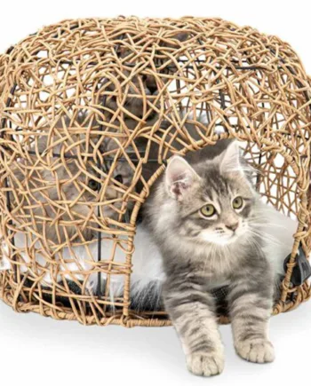 Petrebels Berlin Luksus Kattehule Sandfarvet