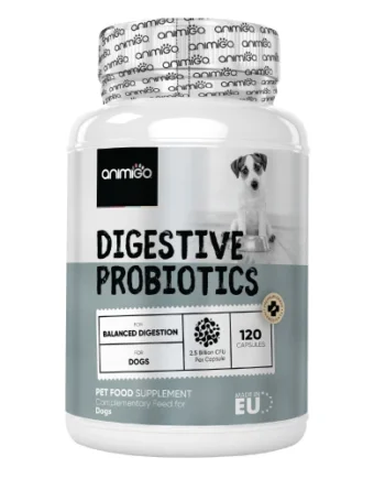 Probiotika Til Hunde