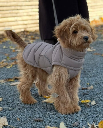 By Doodle Dogs Eva Hundejakke Vinter   Brun