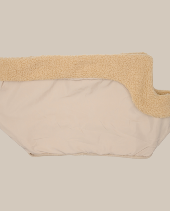 Aspen Olive   Teddy Inderfor
