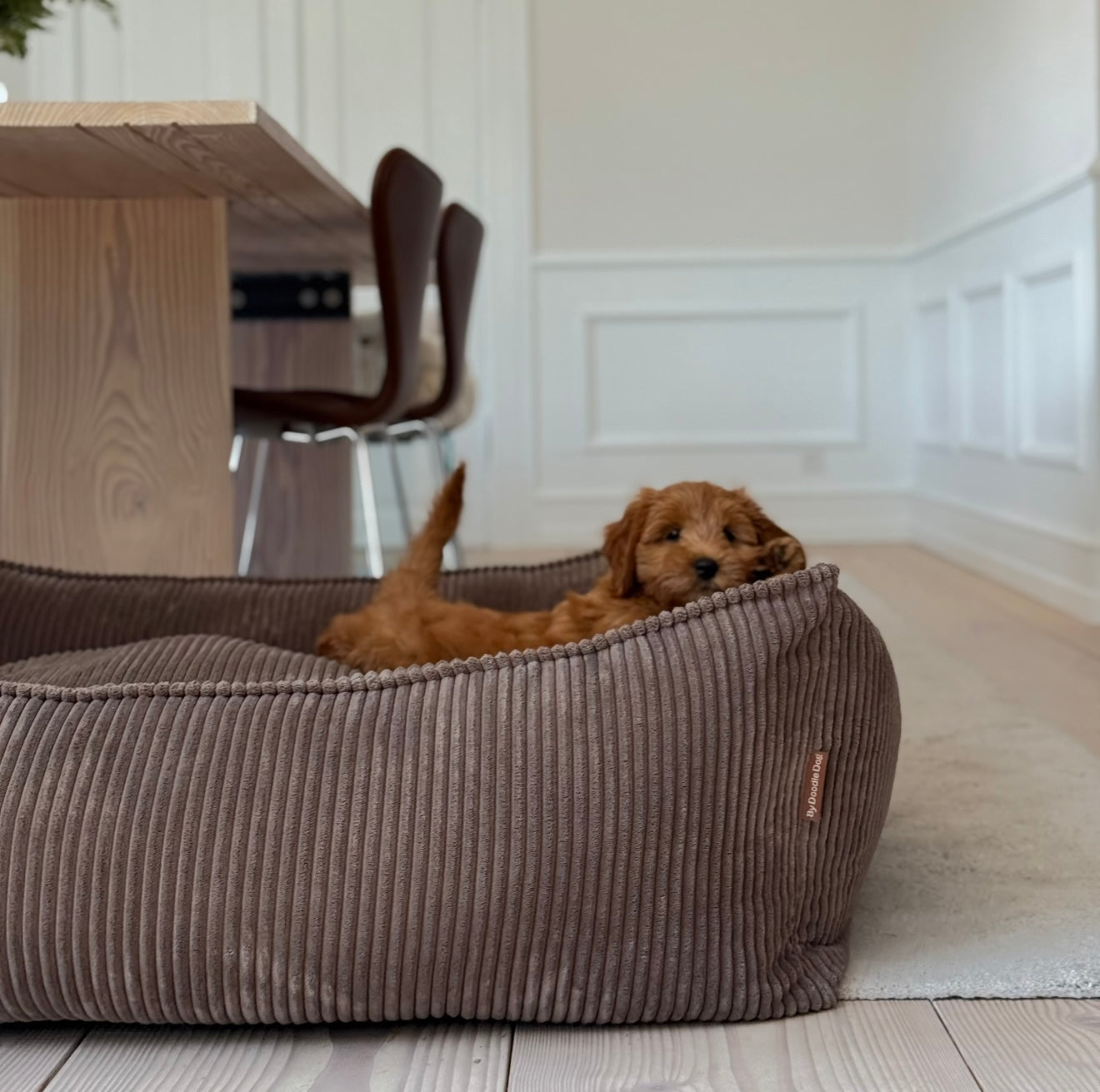 Carl Hundekurven     Mørk Brun