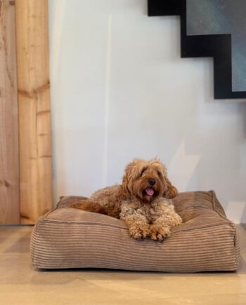 Frede Hundekurven   Lys Brun Medium