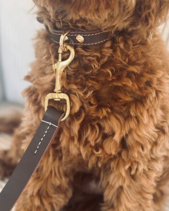 Hundesnor   Mørk Brun Læder 140 Cm