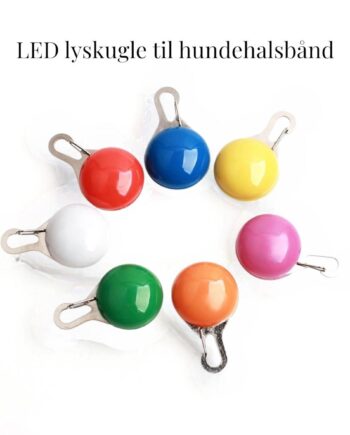 Led Lyskugle Til Halsbånd Blå
