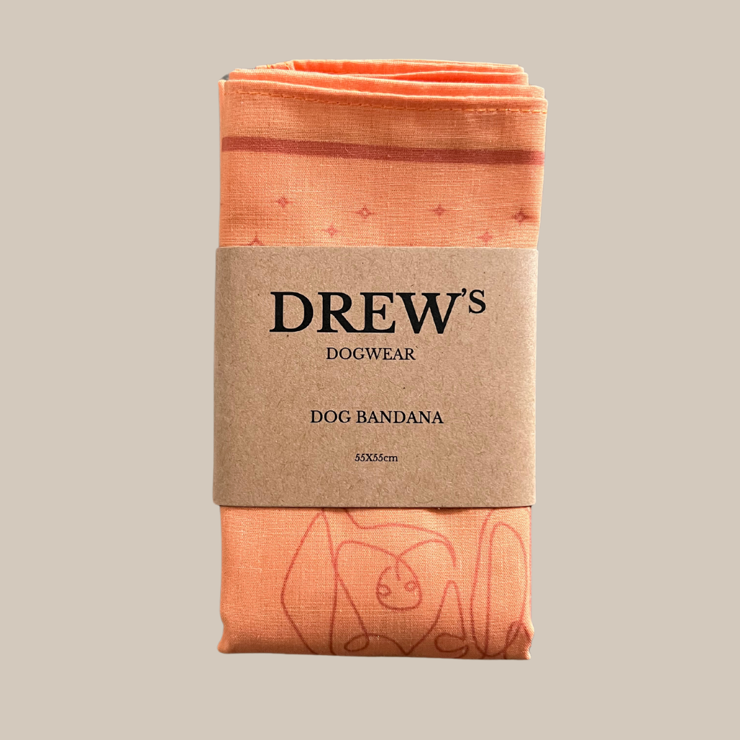 Peach Stilfuldt Hundebandana Til Mellem Og Store Hunde Orange Peach Orange