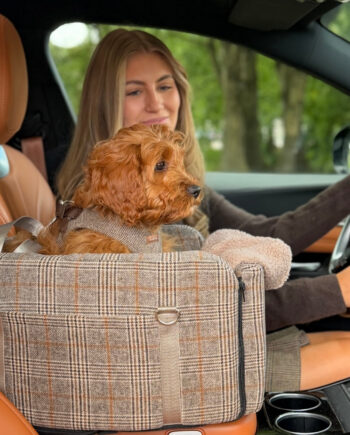 Agnes Bilsædet Til Hunde   Mørk Brun   Tern Midterkonsol