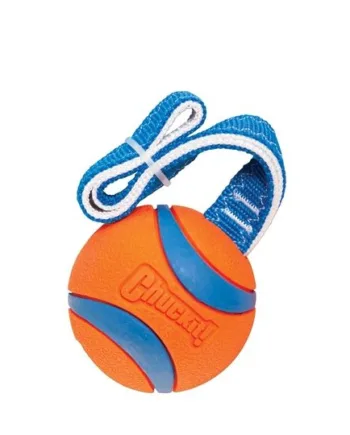 Chuckit Ultra Tug