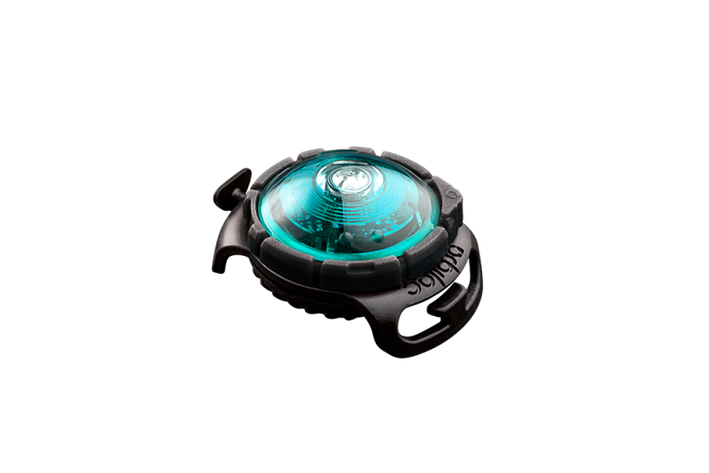 Orbiloc Dog Dual Turquoise